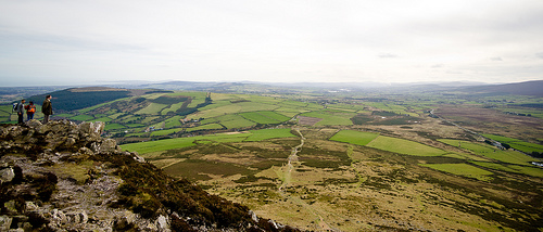 Sugar Loaf