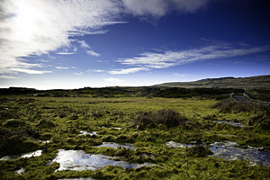 aran_2