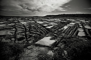 aran_3
