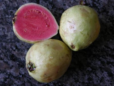 Goiaba