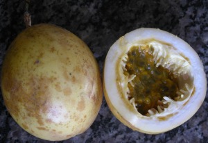 Maracuja