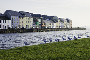 galway
